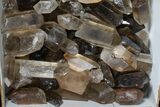 Lot: Lbs Smoky Quartz Crystals (-) - Brazil #77841-4